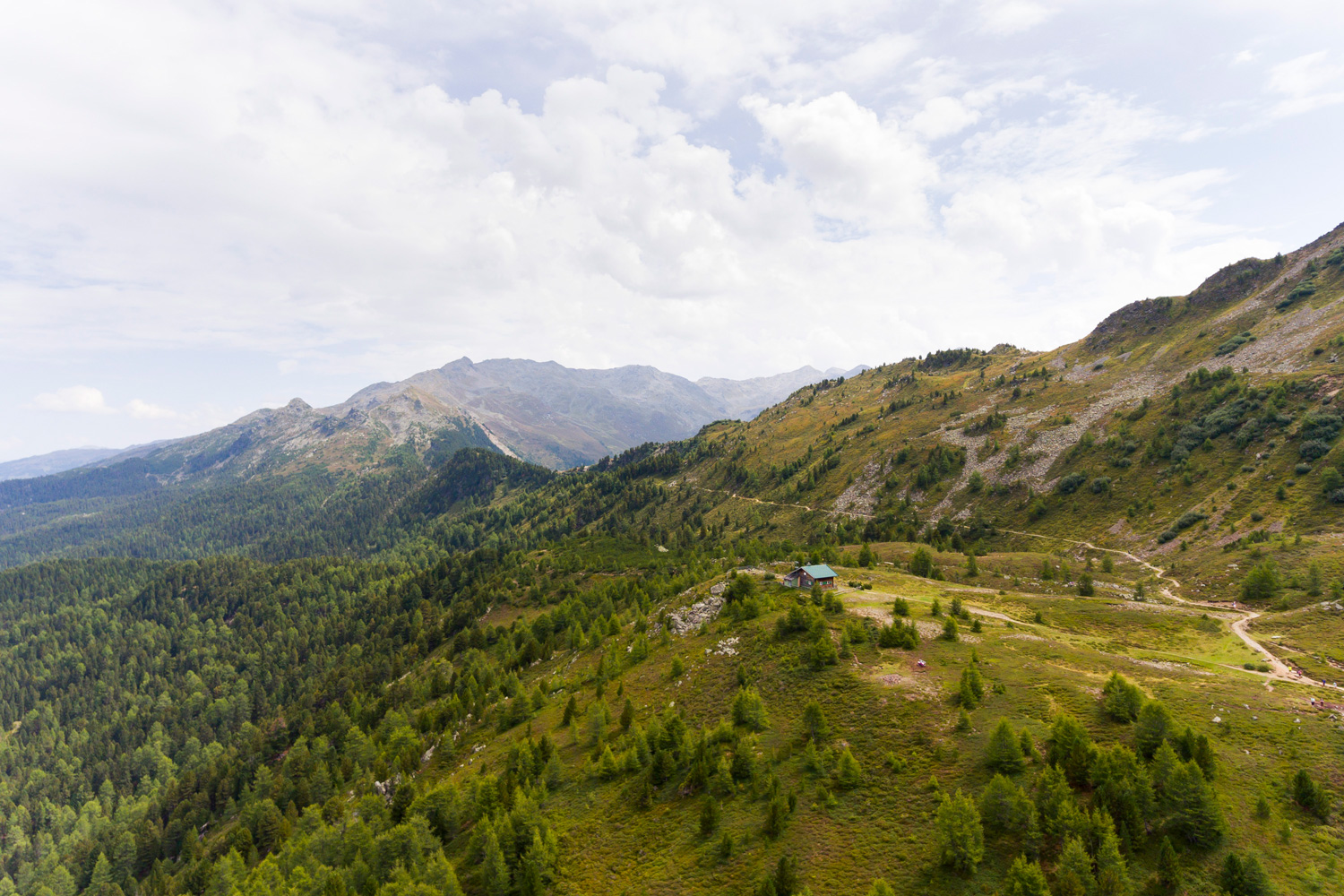 greunboden_luft_0033